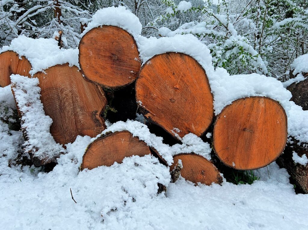 Im Hochschwarzwald kommt der Winter zurck und bringt reichlich Schnee mit.