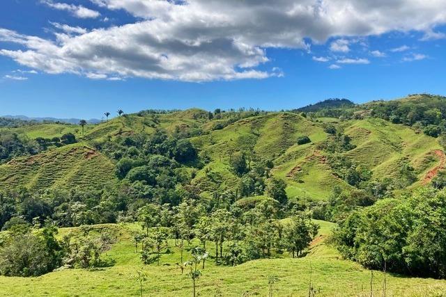Wie das Waldprojekt Bosque Azul des Emmendinger Ehepaars Hall in Costa Rica vorankommt