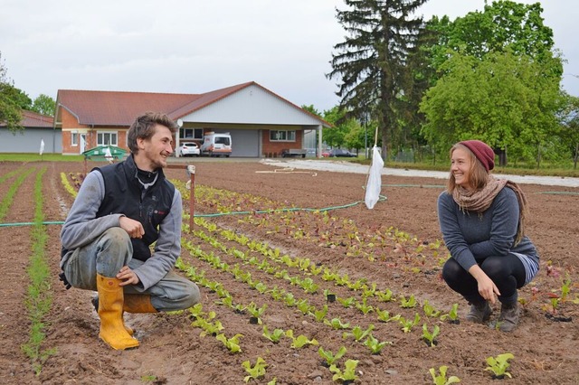 Auf einer Ackerflche der Bio-Grtnere... mit ihrem Team schon Salat gepflanzt.  | Foto: Lena Marie Jrger