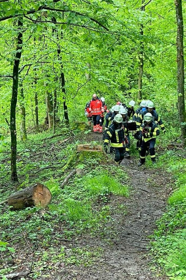 Die Freiwillige Feuerwehr war mit einem Dutzend Mnner vor Ort.  | Foto: Freiwillige Feuerwehr Kippenheim