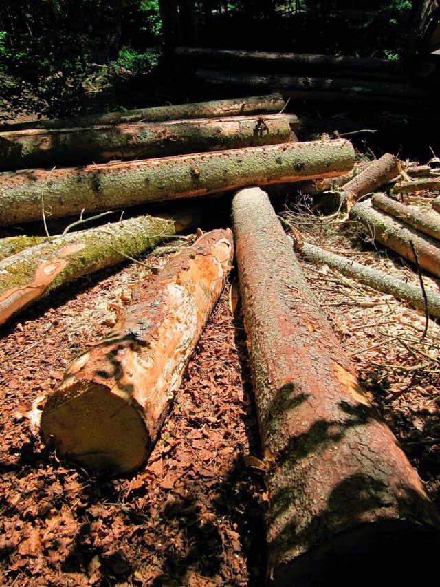 Geerntetes Holz am Wegesrand am Hchenschwander Berg  | Foto: Susanne Filz