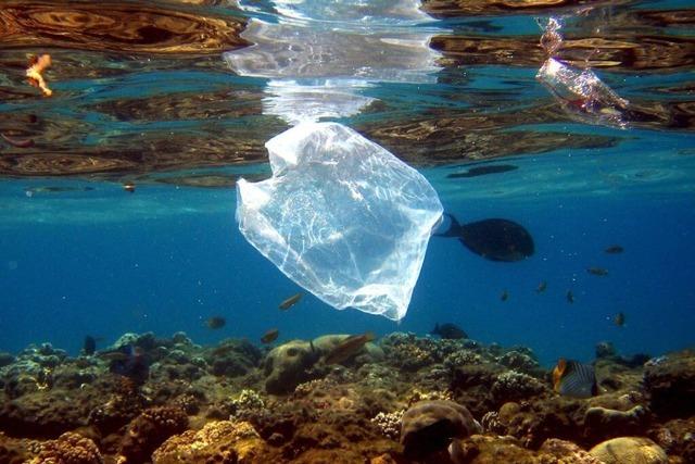 Wie die globale Plastikkrise bewltigt werden soll