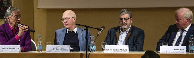 Podiumsdiskussion zum Verhltnis zwisc...schel, Gnther Maihold und Peter Wei   | Foto: Marius Alexander