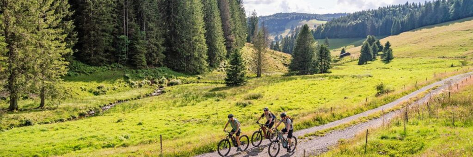 Der Hochschwarzwald bekommt ein neues Radwegenetz - mit 1000 Kilometer Strecke