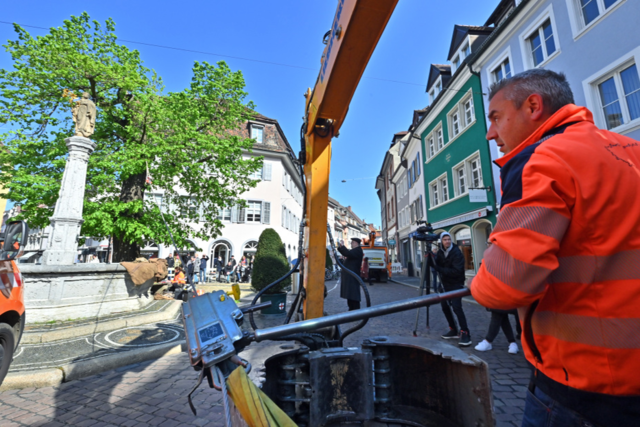 Oberlinden-Linde in Freiburg schneidet ist standfester als gedacht