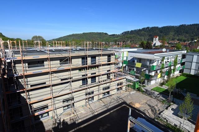 Hochgestapelt und zusammengesteckt: Wie die Freiburger Stadtbau neue Wege im Holzbau geht
