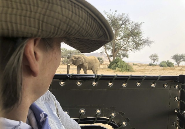 Livia Wittiger beobachtet einen Elefanten in Namibia.  | Foto: Privat