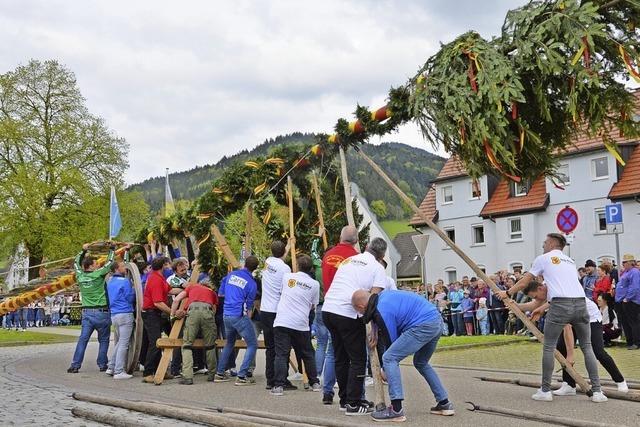 Traditionelles Maibaumstellen in Gutach-Bleibach