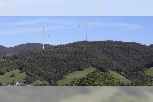 Rte bekrftigen Brgervotum zu Windkraft