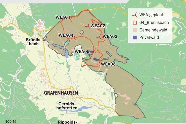 Nabu sorgt sich um Fledermuse wegen neuen Windkraftanlagen in Grafenhausen
