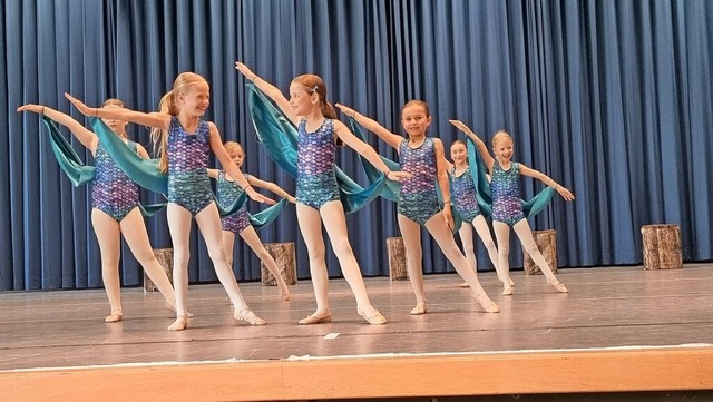 Die Ballettgruppe der Volkshochschule ...nioren gleich mit mehreren Auftritten.  | Foto: Alfons Theis