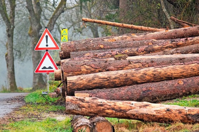 Holzpolter liegen oft an Waldwegen zum Abtransport bereit (Symbolbild).  | Foto: Wolfgang Scheu