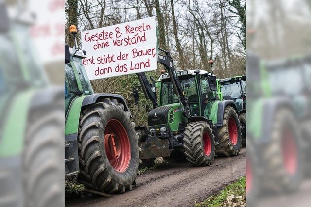 EU lockert Umweltauflagen fr Bauern