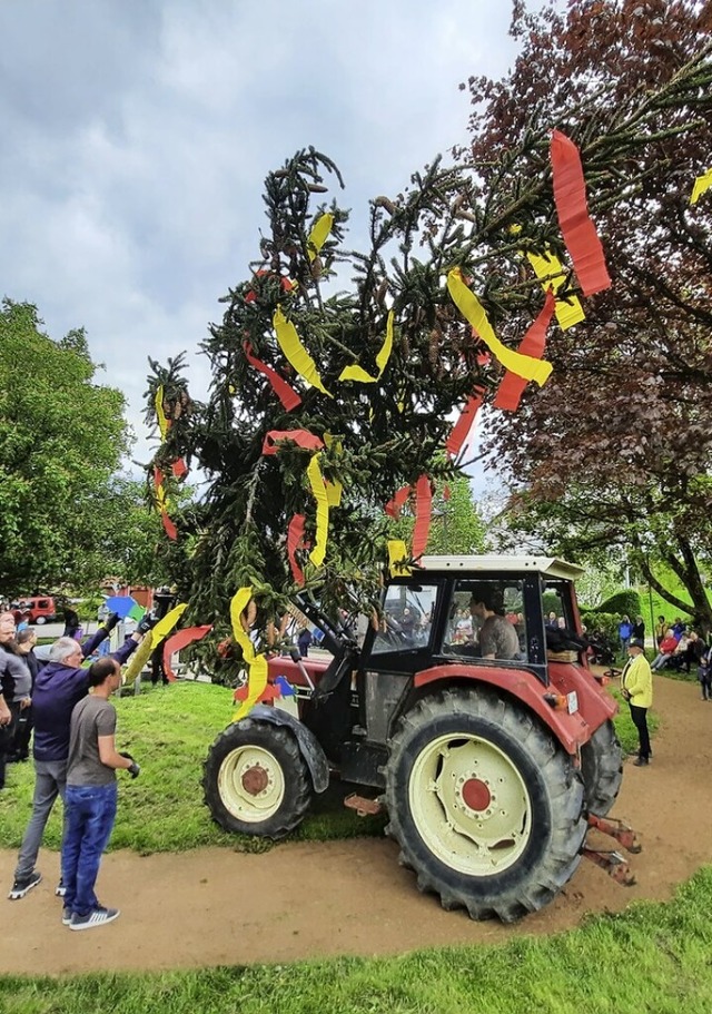 Vor zwei Jahren half ein Traktor beim Aufstellen des Maibaums.  | Foto: Hannes Lauber