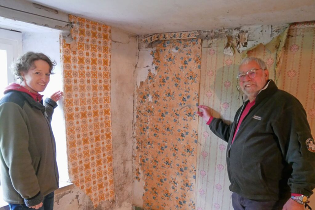 Wenn Zeitgeschichte an den Wnden klebt: Im Zechenwihler Hotzenhaus wird jetzt Tapete restauriert