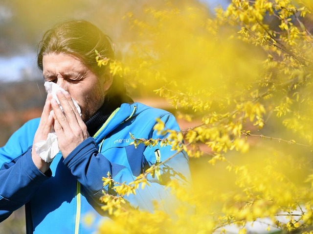 Heuschnupfen ist der Klassiker unter den Allergien.  | Foto: Angelika Warmuth (dpa)