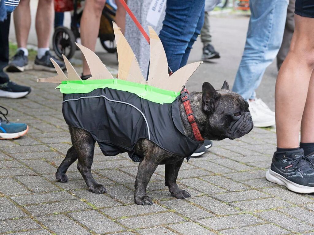 Bunt, frhlich und lecker – der diesjhrige Mllheimer Genusslauf lief tierisch gut.