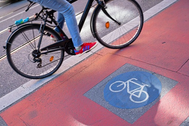 Der Radweg  zwischen Schwrstadt und Riedmatt hat eine schwierige Wegfhrung.  | Foto: Lennart Preiss (dpa)