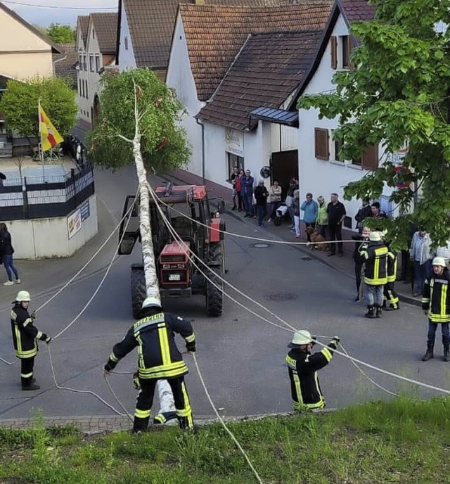 So wie letztes Jahr stellt die Feuerwehr wieder einen Maibaum auf.  | Foto: Christine Weirich