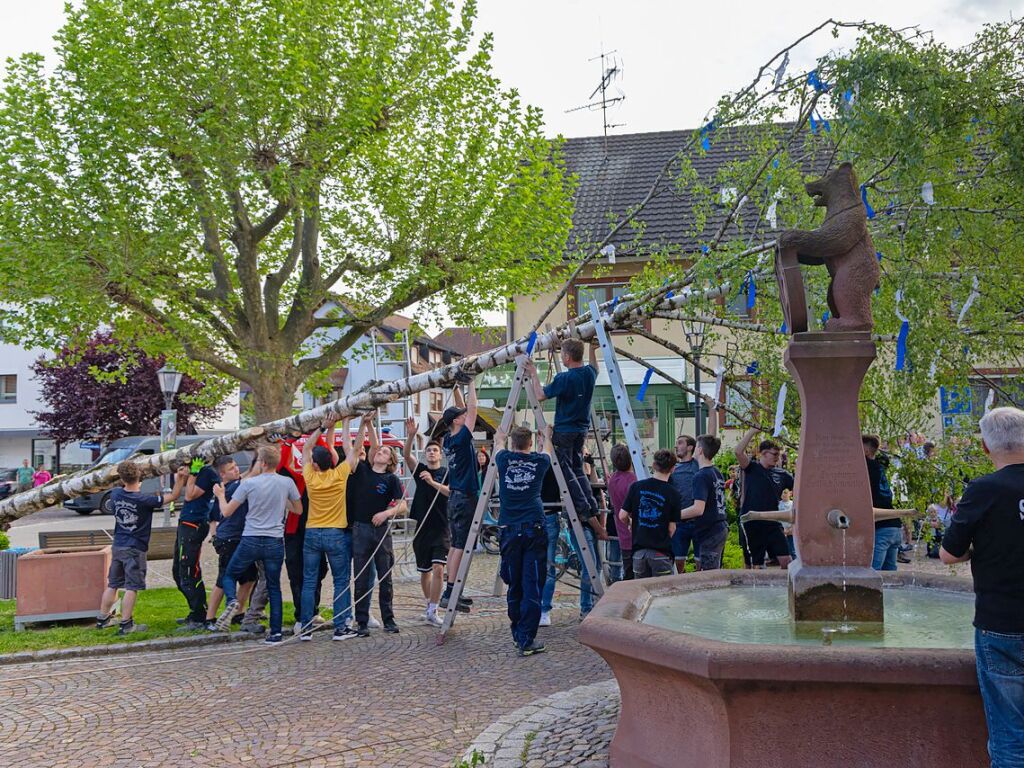 Die Landjugend stellte in Btzingen einen Maibaum.