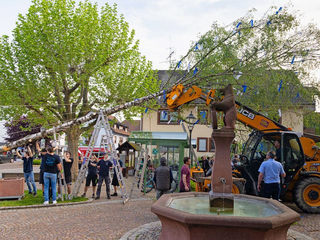 Die Landjugend stellte in Btzingen einen Maibaum.