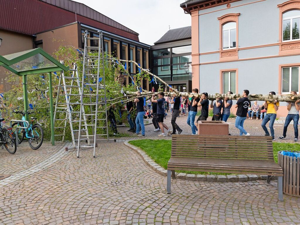 Die Landjugend stellte in Btzingen einen Maibaum.