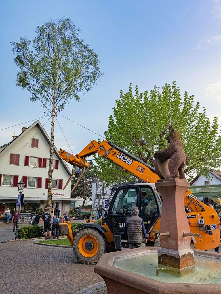 Die Landjugend stellte in Btzingen einen Maibaum.