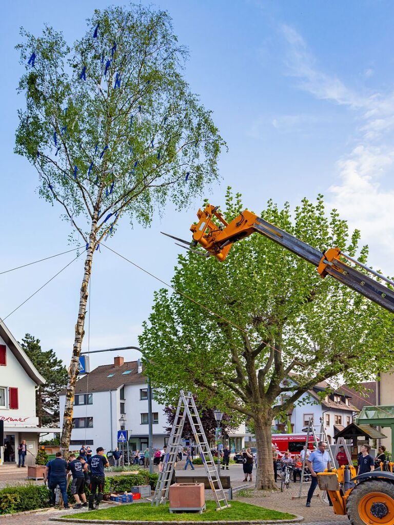 Die Landjugend stellte in Btzingen einen Maibaum.