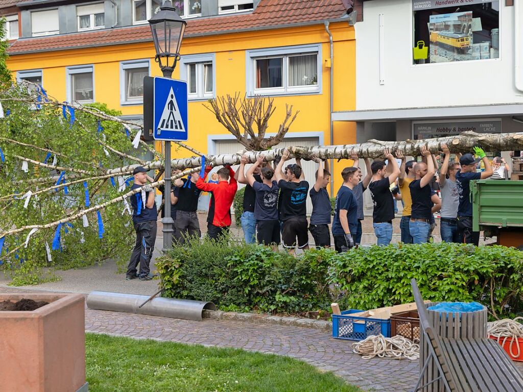 Die Landjugend stellte in Btzingen einen Maibaum.