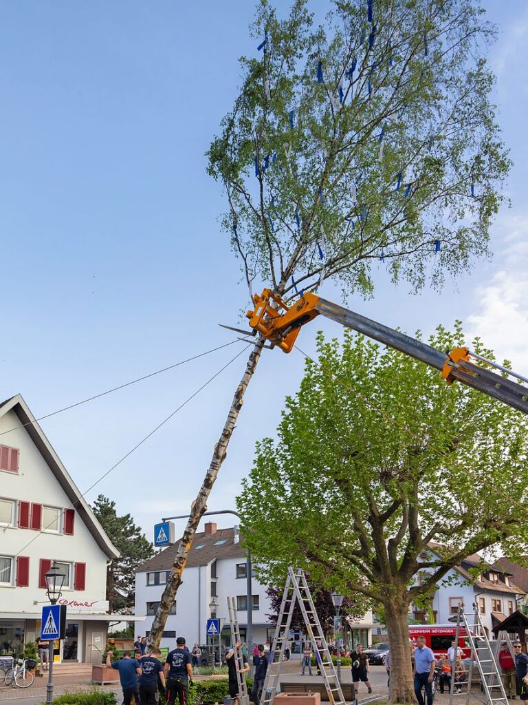 Die Landjugend stellte in Btzingen einen Maibaum.