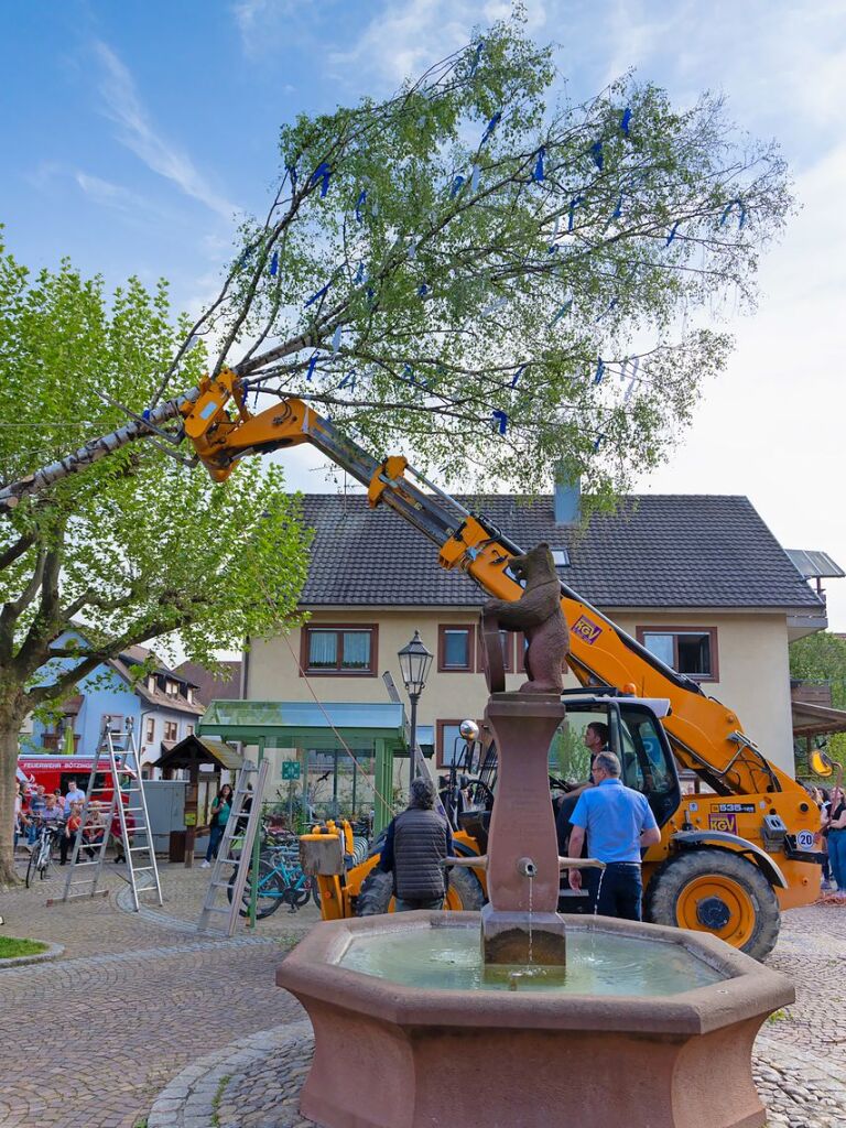 Die Landjugend stellte in Btzingen einen Maibaum.