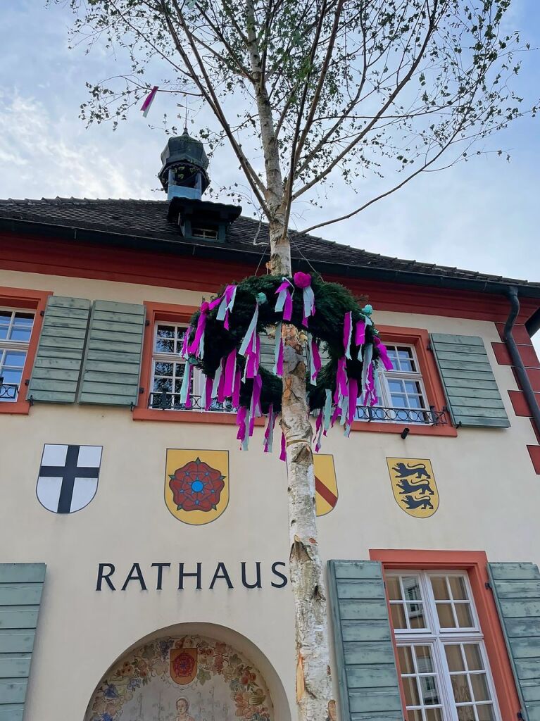 Die Aktiven des diesjhrigen Rekruten-Jahrgangs haben am Vorabend des 1. Mai den Maibaum beim Rathaus in Merdingen gestellt.