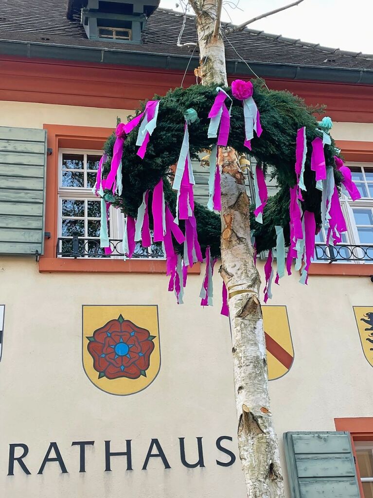 Die Aktiven des diesjhrigen Rekruten-Jahrgangs haben am Vorabend des 1. Mai den Maibaum beim Rathaus in Merdingen gestellt.