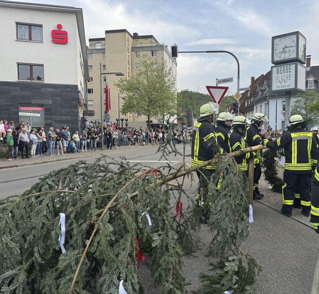 An vielen Orten wurde, wie hier in Bro...g vor dem 1. Mai der Maibaum gestellt.  | Foto: Katharina Kubon