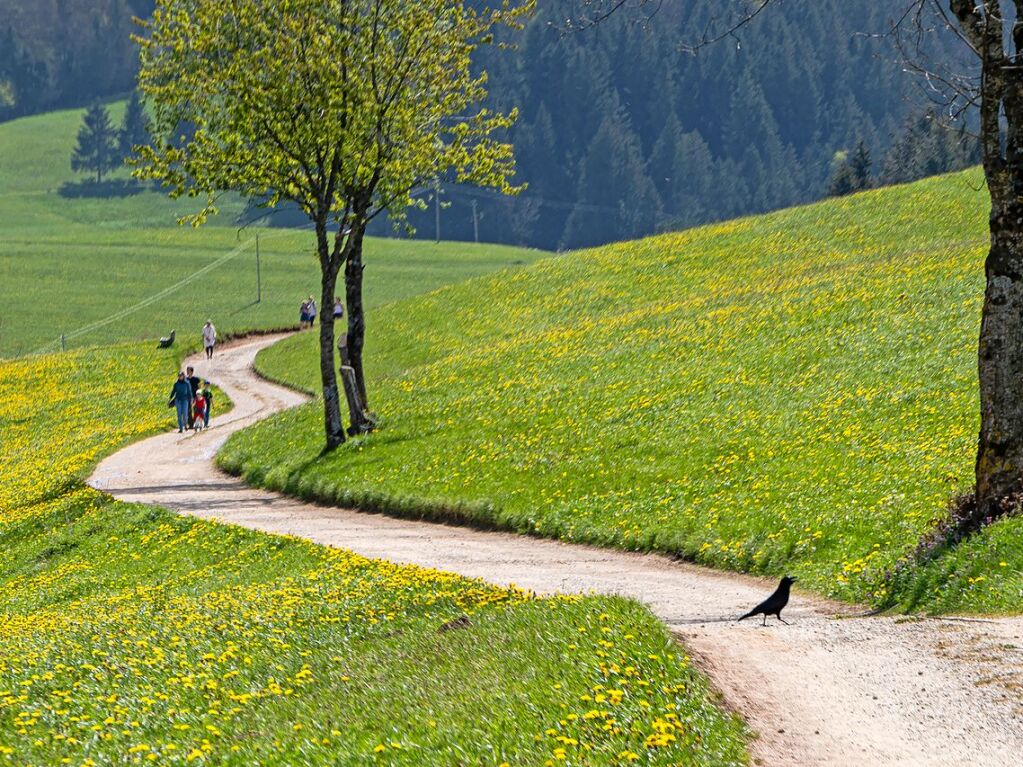 Impressionen von der Jubilumswanderung