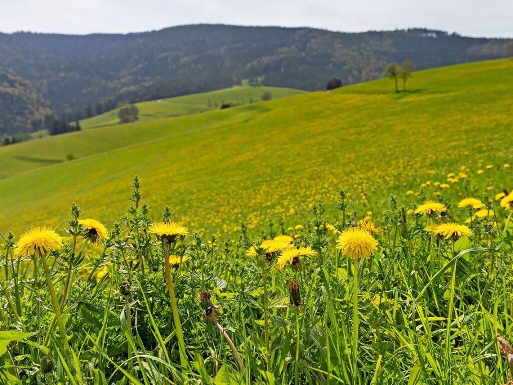 Impressionen von der Jubilumswanderung