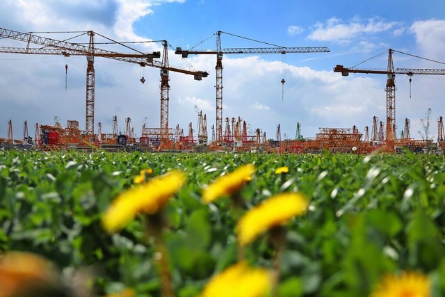 Die Bauinvestitionen haben das Wachstum im ersten Quartal getragen.   | Foto: Karl-Josef Hildenbrand (dpa)