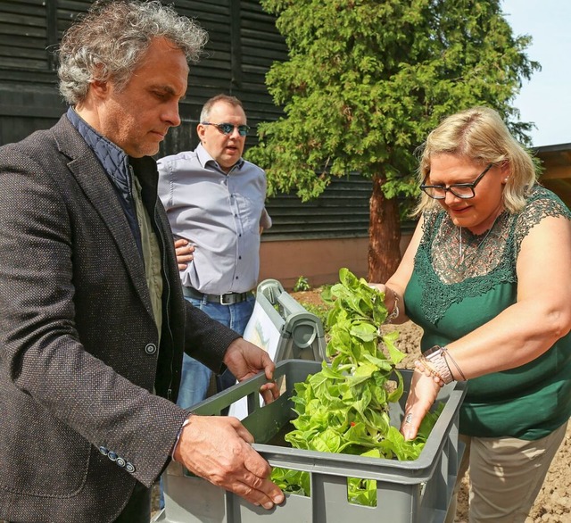 Nicole Ritter, Vorsitzende des Frderv...links) die jungen Tabakpflnzchen aus.  | Foto: Sandra Decoux