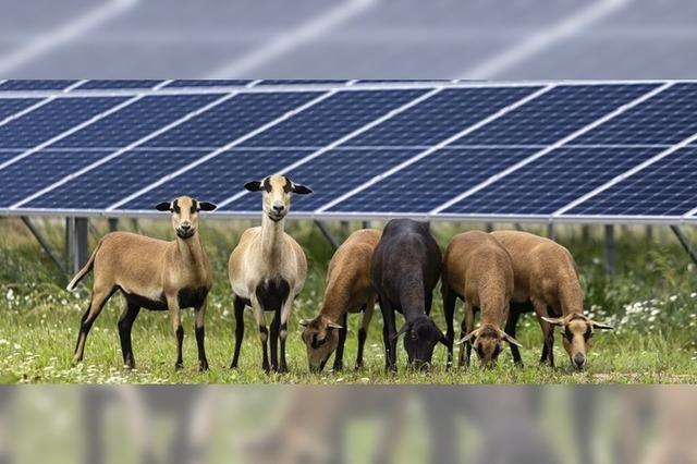 Freie Flchen fr Solarparks reservieren