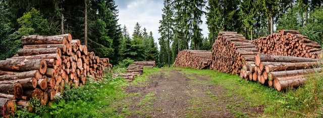 Beim Holzverkauf (Symbolfoto) gab es einen berschuss von 84.000 Euro.  | Foto: Andy Morgenstern