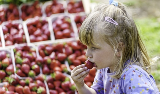 Gesund, regional und lecker: Der Basle...rogramm fr nachhaltige Ernhrung auf.  | Foto: Andreas Arnold (dpa)