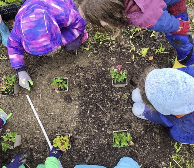 Der neue Schulgarten soll  Naturpdagogik erleichtern.  | Foto: Veronika Volk