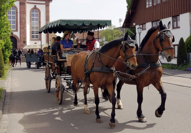 Die elsssisch-badische Kutschfahrt hat zum 40. Mal stattgefunden.  | Foto: Pferdefreunde Meienheim