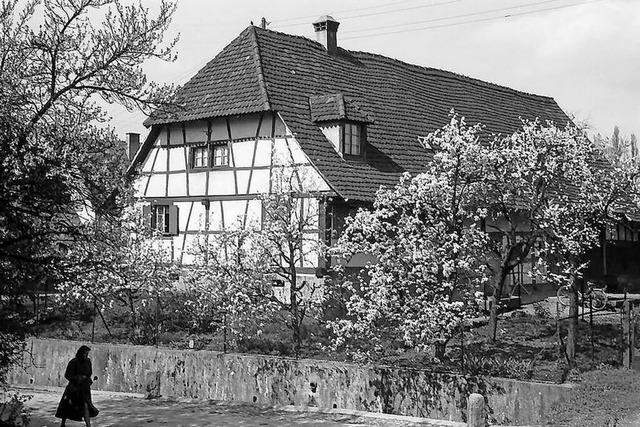 Muss in Freiburg-Zhringen ein Fachwerkhaus weichen?