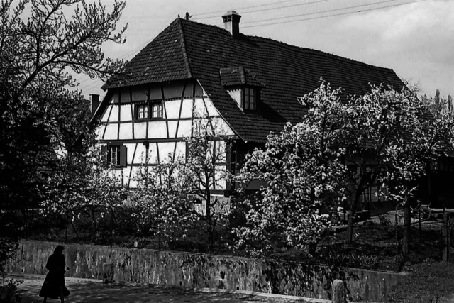 Muss ein historisches Fachwerkhaus in Freiburg-Zhringen weichen?