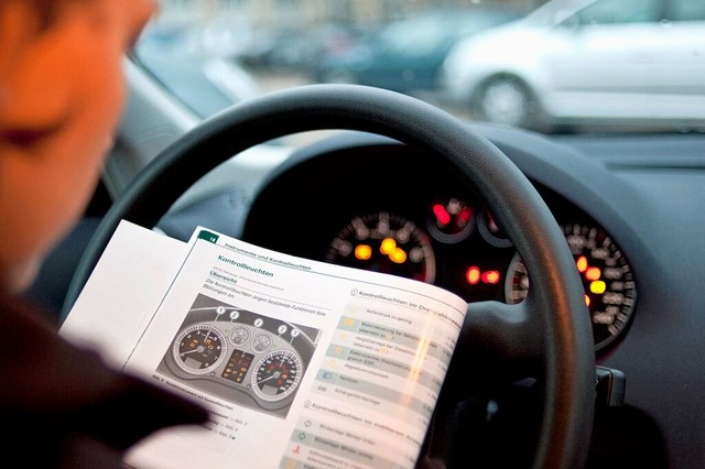 Autofahrer sollten sich mit den wichti...gen der Warnzeichen im Armaturenbrett.  | Foto: Franziska Gabbert (dpa)