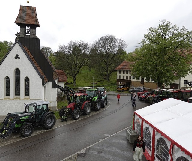 Aus nah und fern: An die 30 Traktoren ...ne oder andere kam der Liebsten wegen.  | Foto: Hans-Jrgen Sackmann