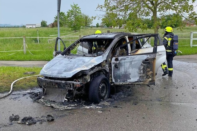 Die Feuerwehr lschte das Auto der Marke Ford mit 18 Einsatzkrften.  | Foto: Feuerwehr Neuenburg