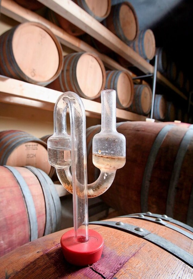 Einige Weingter wollen zur Weinpromen...pezielle Kellerfhrungen organisieren.  | Foto:  DPA Deutsche Presse-Agentur GmbH
