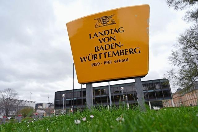 Zwei AfD-Abgeordnete wurden vor dem Landtag in Stuttgart angegriffen